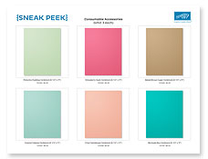 Product Sneak Peek, 2013 Annual Catalog, Stampin' Up!< In Colors