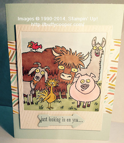 From the Herd, Stampin' Up!
