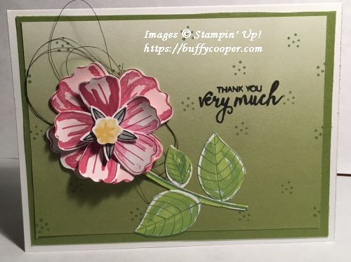 Bunch of Blossoms, Stampin' Up!