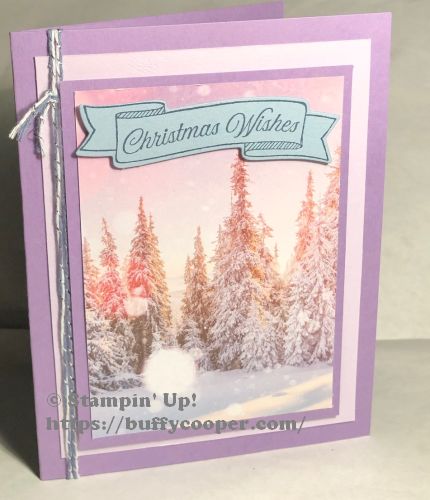 Feels Like Frost, Stampin' Up!, Toile Christmas
